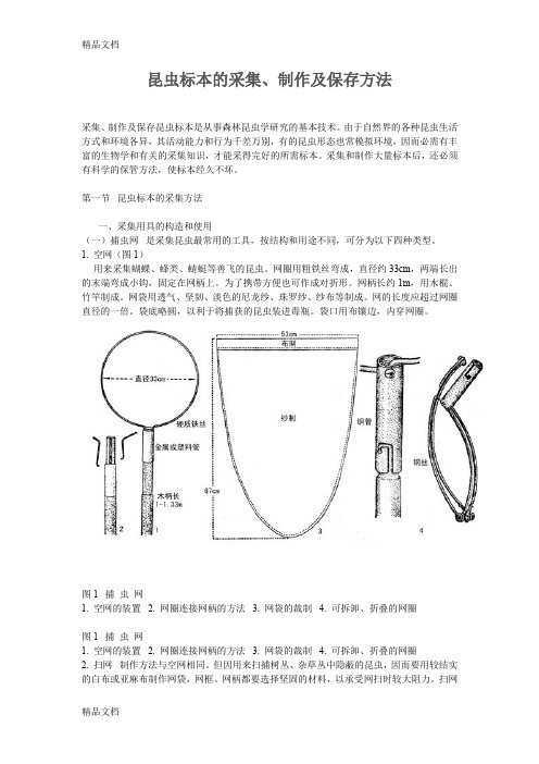 (整理)昆虫标本的采集、制作及保存方法