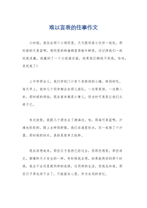 难以言表的往事作文