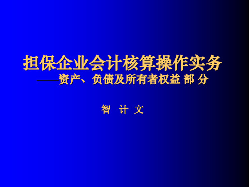 担保企业会计核算操作实务