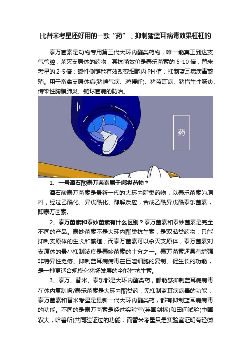 比替米考星还好用的一款“药”，抑制猪蓝耳病毒效果杠杠的