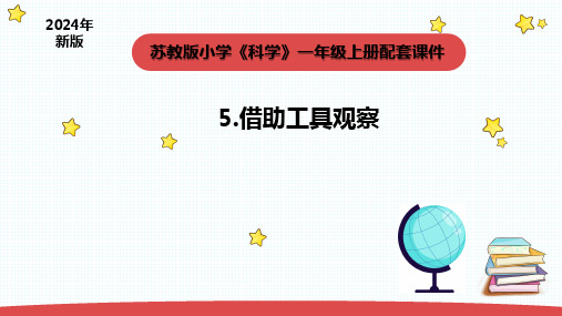 2024年秋苏教版一年级科学上册2.2《借助工具观察》(课件)