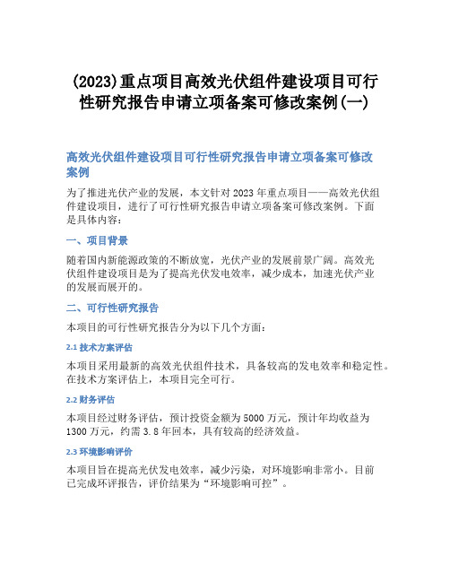 (2023)重点项目高效光伏组件建设项目可行性研究报告申请立项备案可修改案例(一)