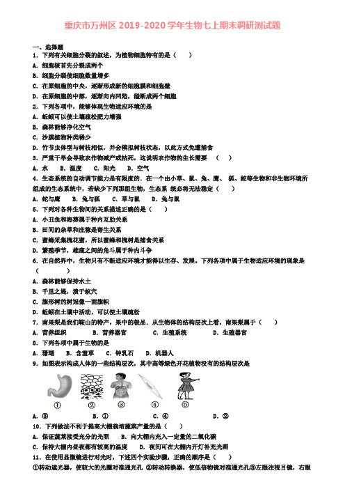 重庆市万州区2019-2020学年生物七上期末调研测试题