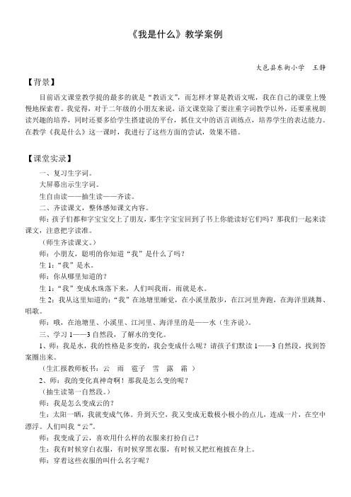 小学语文北师大二年级上册(2023年新编)13风和水-《我是什么》教学案例