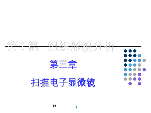 第三章-扫描电子显微镜