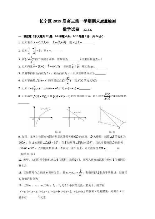 上海市长宁区2019届高三上学期期末教学质量检测数学试题(官方答案)