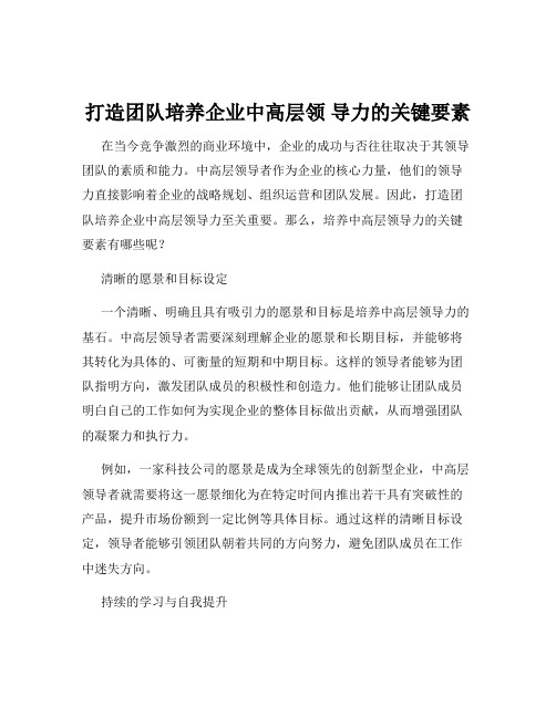 打造团队培养企业中高层领 导力的关键要素