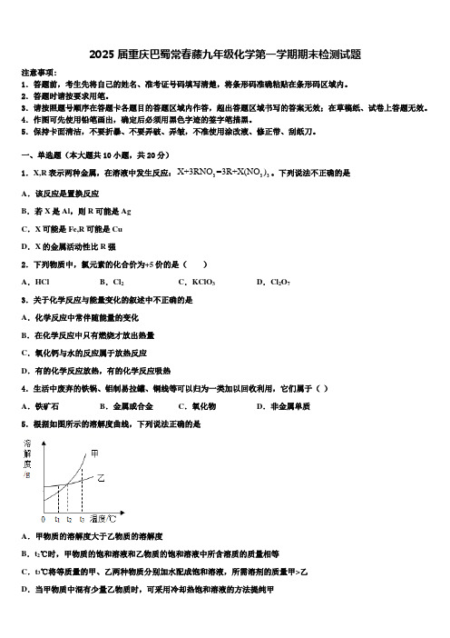 2025届重庆巴蜀常春藤九年级化学第一学期期末检测试题含解析