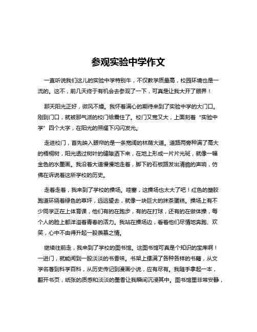 参观实验中学作文