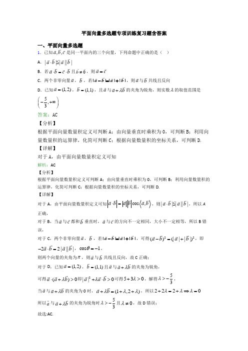 平面向量多选题专项训练复习题含答案