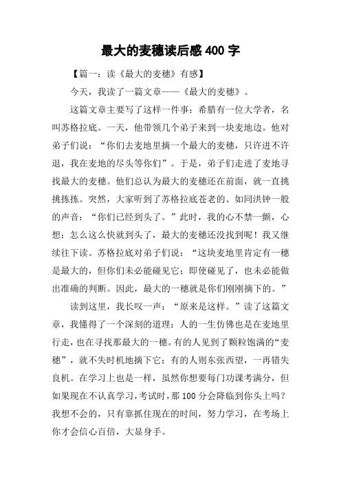 最大的麦穗读后感400字