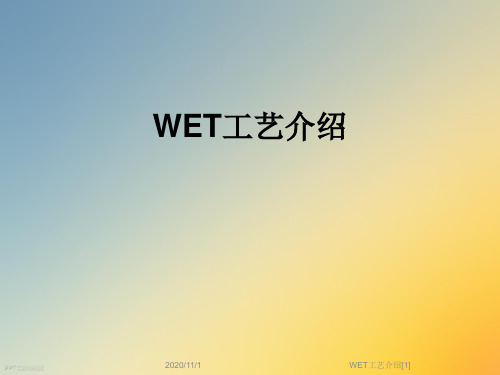 WET工艺介绍[1]