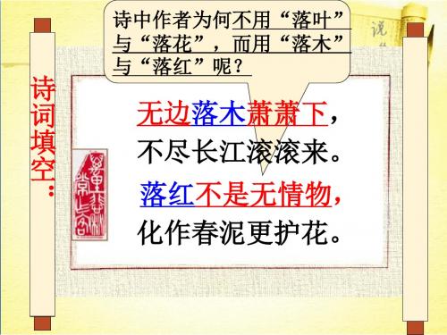 说木叶