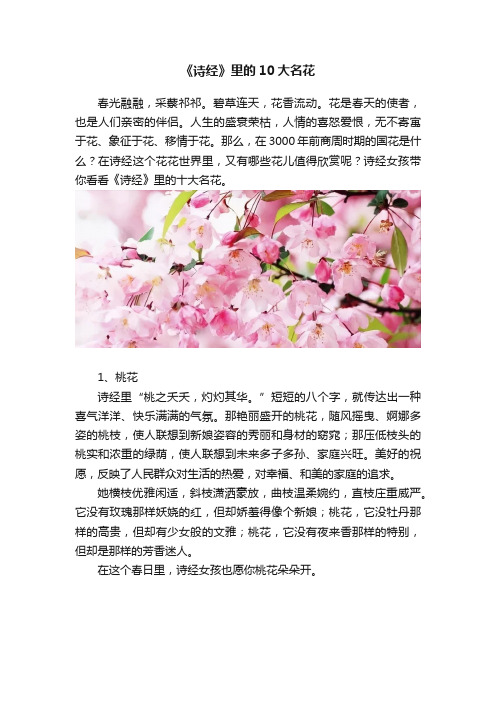 《诗经》里的10大名花