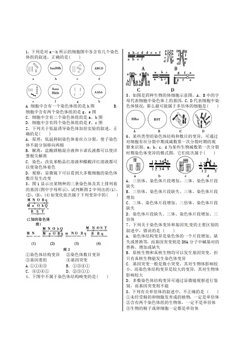 《染色体变异》经典试题附解析