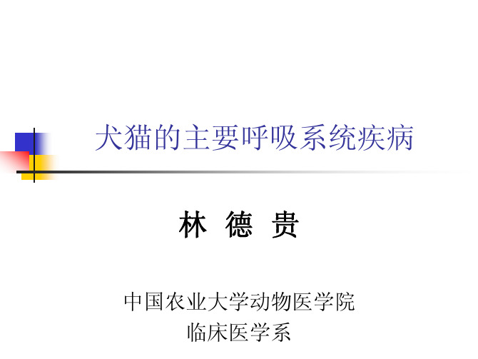 宠医课件8.犬猫的主要呼吸系统疾病