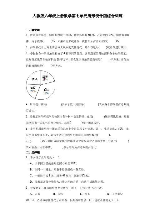 人教版六年级上册数学第七单元扇形统计图综合训练