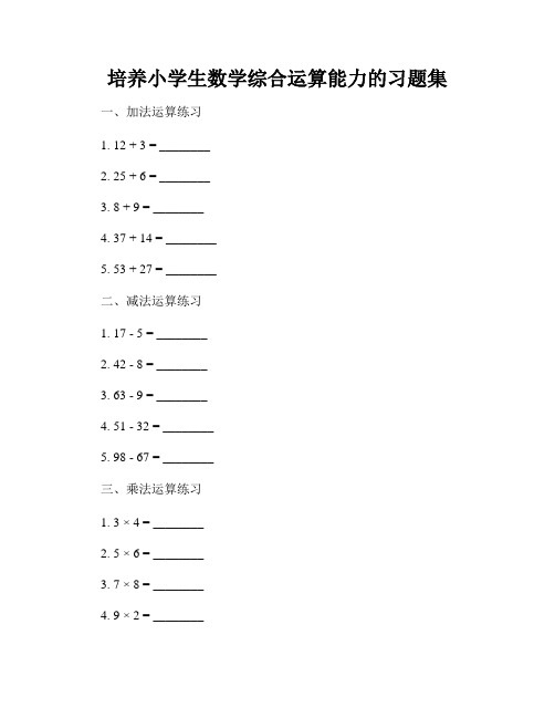 培养小学生数学综合运算能力的习题集