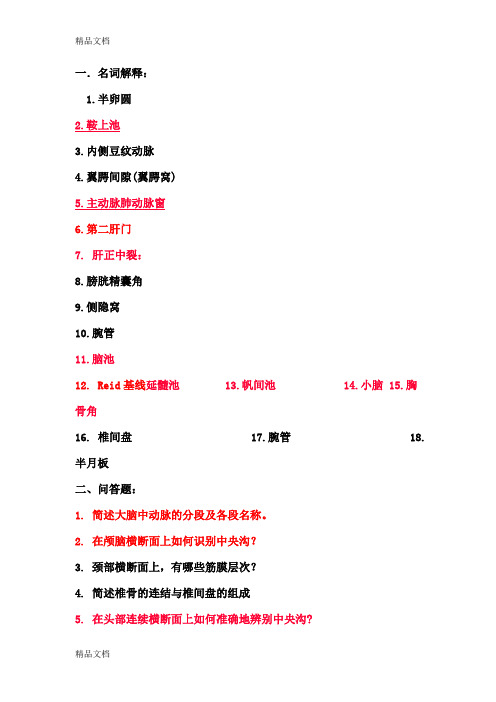 断层解剖学考试重点资料