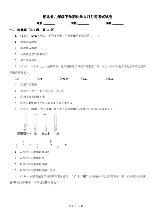 湖北省九年级下学期化学3月月考考试试卷