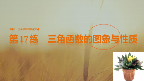 2018版高考数学江苏理考前三个月配套课件 专题4 三角函数与平面向量 第17练 精品