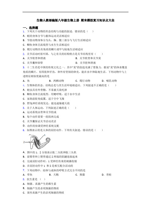 生物人教部编版八年级生物上册 期末模拟复习知识点大全