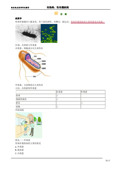 临床执业医师考试辅导材料：《传染病、性传播疾病》伤寒