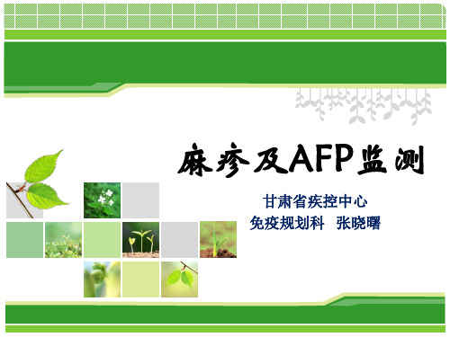 AFP及麻疹监测