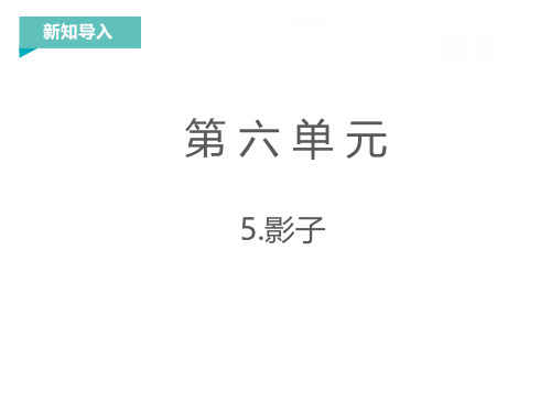 小学语文一年级上册第六单元课文精讲