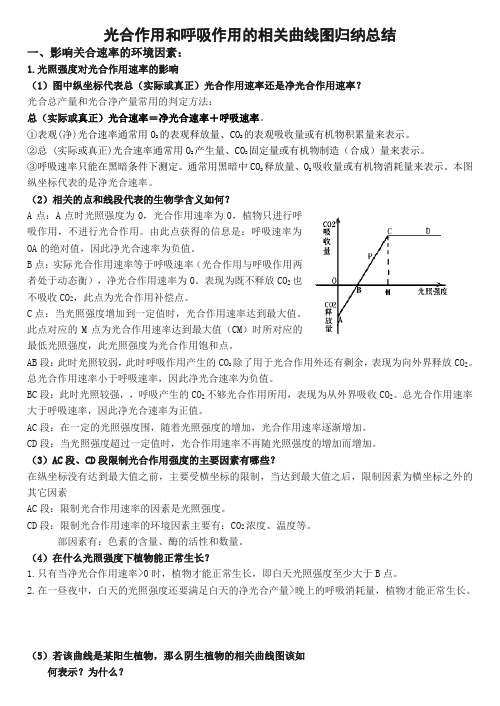 呼吸作用和光合作用曲线图的分析