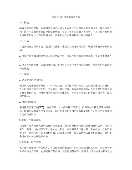 柳州企业网络营销策划方案