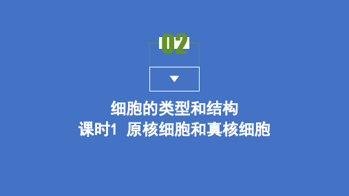 2021高中生物苏教版必修一课件 第三章第二节 细胞的类型和结构 