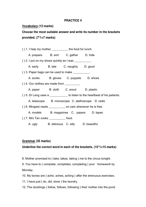 新加坡小学二年级英语试卷PRACTICE 4