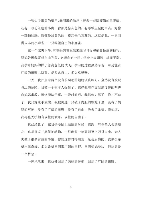 中小学我是一只小麻雀作文500字