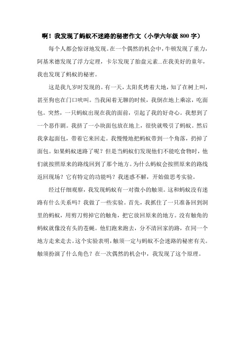 啊!我发现了蚂蚁不迷路的秘密作文(小学六年级800字).doc