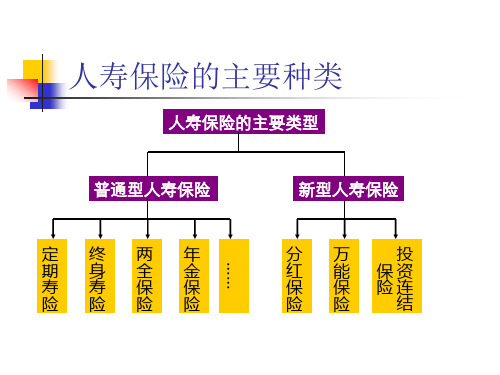 寿险产品介绍