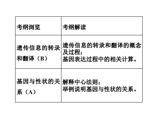 人教版生物必修二第四章基因的表达复习课件共36张讲解学习