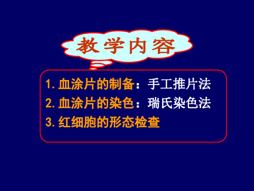 医学课件血涂片红细胞形态