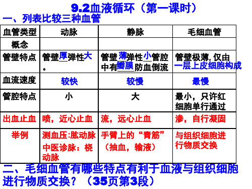 血液循环