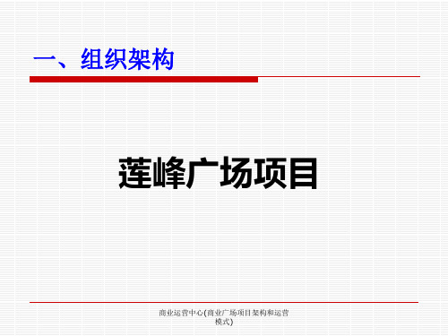 商业运营中心(商业广场项目架构和运营模式)课件