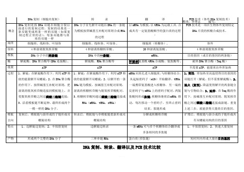 DNA复制与转录、翻译、PCR的区别