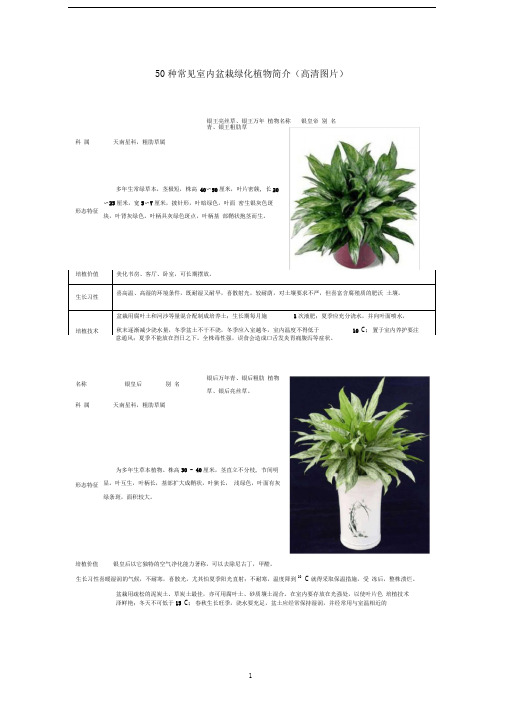 50种常见室内绿化植物介绍(带高清图片)