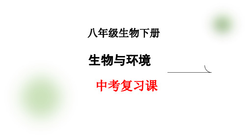 八年级生物下册《生物与环境》中考复习课课件