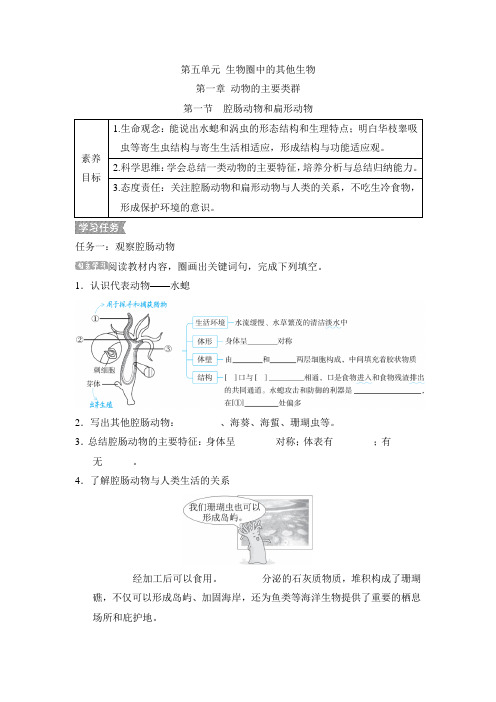 5.1.1腔肠动物和扁形动物导学案人教版生物八年级上册