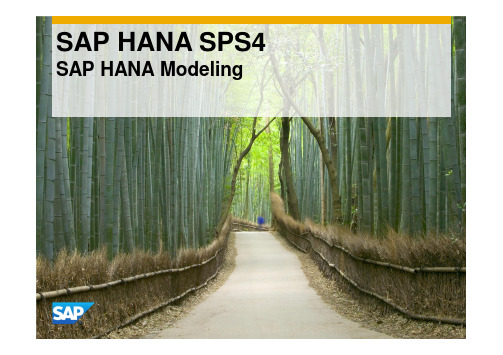 SAP HANA Modeling