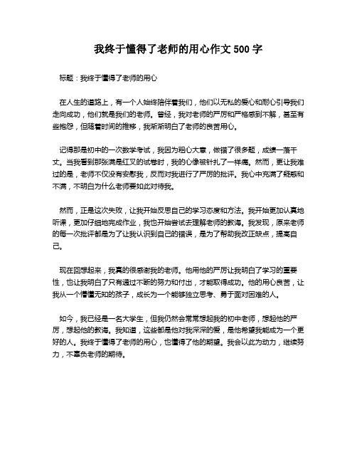 我终于懂得了老师的用心作文500字