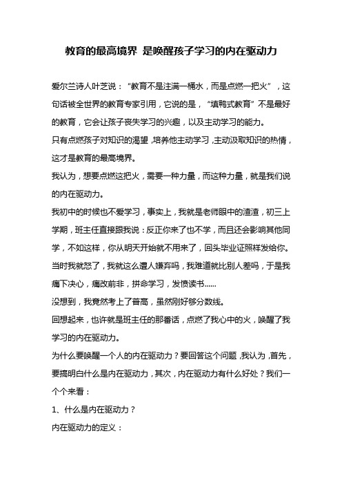 教育的最高境界 是唤醒孩子学习的内在驱动力