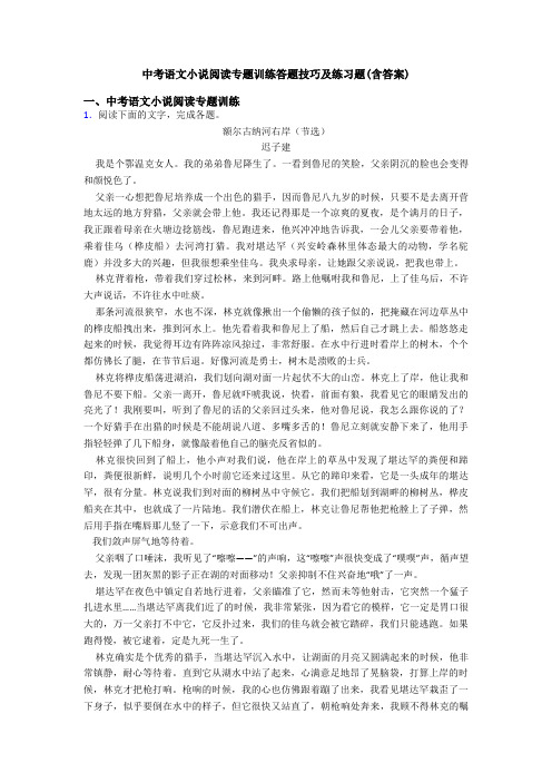 中考语文小说阅读专题训练答题技巧及练习题(含答案)