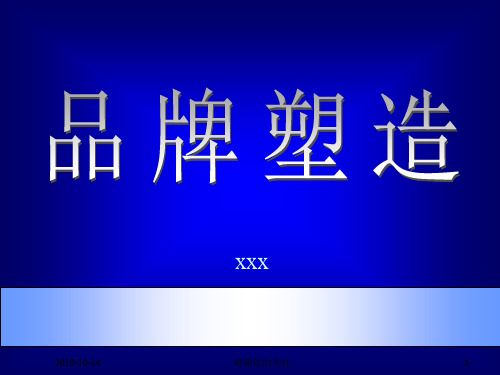 《市场总监培训教材》品牌塑造模板.pptx