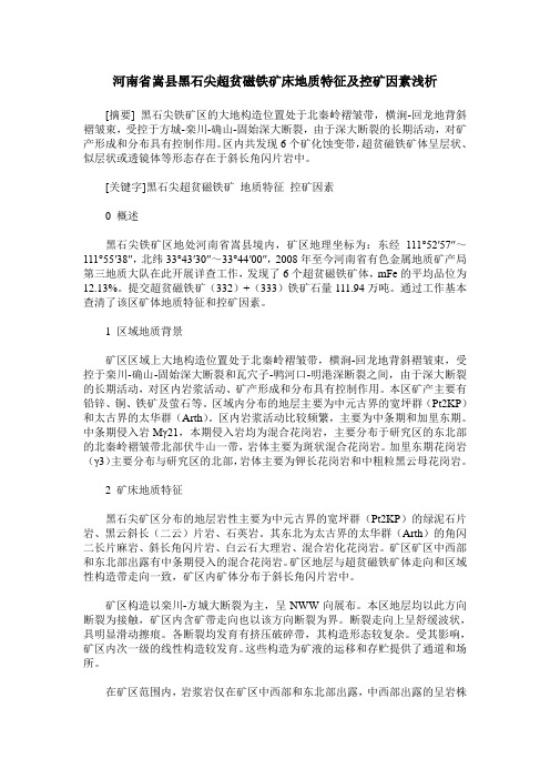 河南省嵩县黑石尖超贫磁铁矿床地质特征及控矿因素浅析